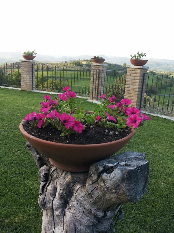B&B La Piaggia Montemerano Zimmer foto