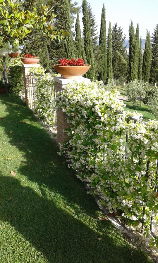 B&B La Piaggia Montemerano Exterior foto